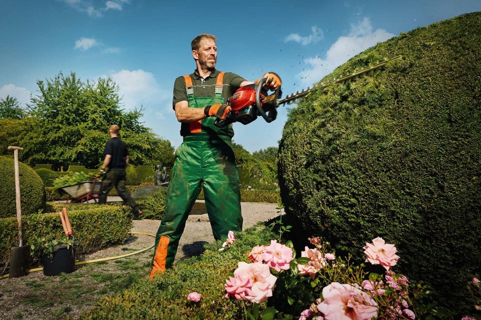 Hecken schneiden im Garten- und Landschaftsbau